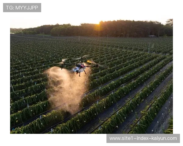 自动化营销邮件与推送矩阵 强化了赛事预热期的赞助权益曝光