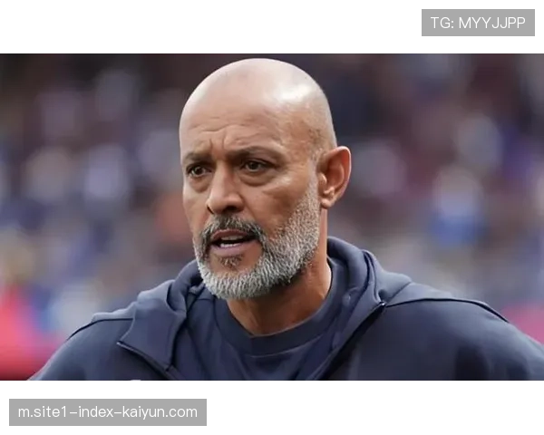 西汉姆联防反变只防不反，新帅绣花战术与阵容不适配